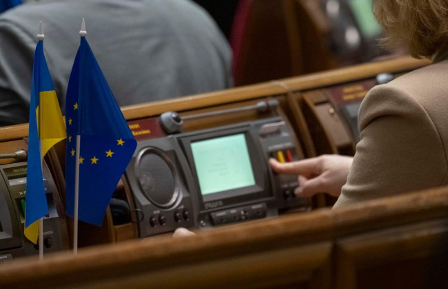 Народным депутатам нужно повысить зарплаты – Ирина Федоров