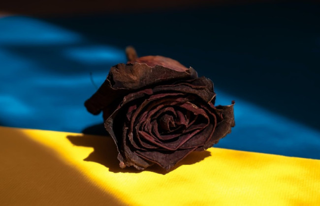 Как получить статус члена семьи погибшего Защитника или Защитницы Украины