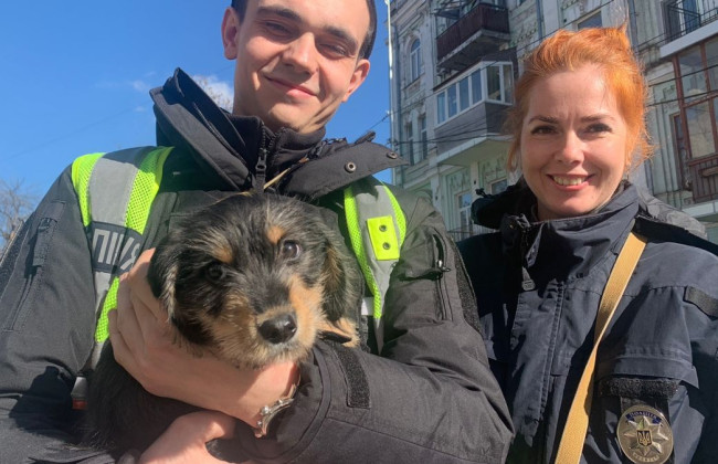 В Кабмин подали петицию о создании в Украине зоополиции для эффективного расследования дел об издевательствах над животными