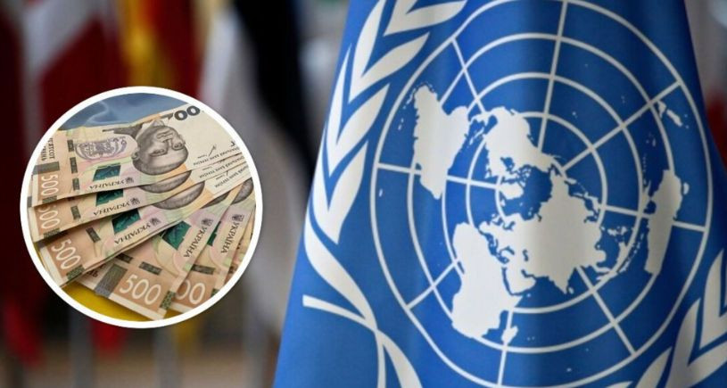 Дополнительная денежная помощь от ООН: кто ее может получить