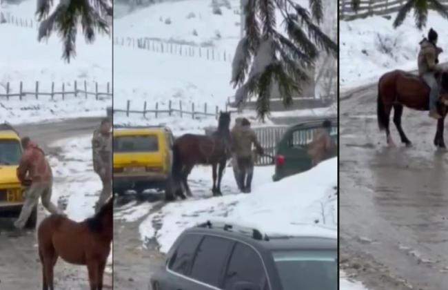 На Буковине задержаны двое мужчин: один из них наехал на работника ТЦК машиной, а другой — напал с топором