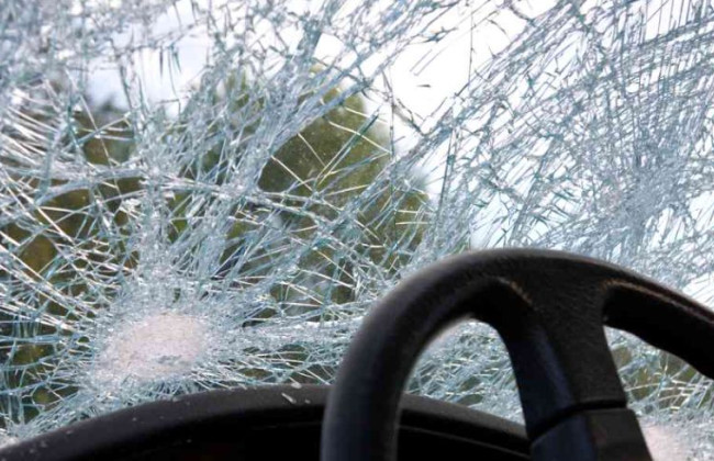 В США миллиардерша случайно заехала в пруд на автомобиле Tesla и погибла