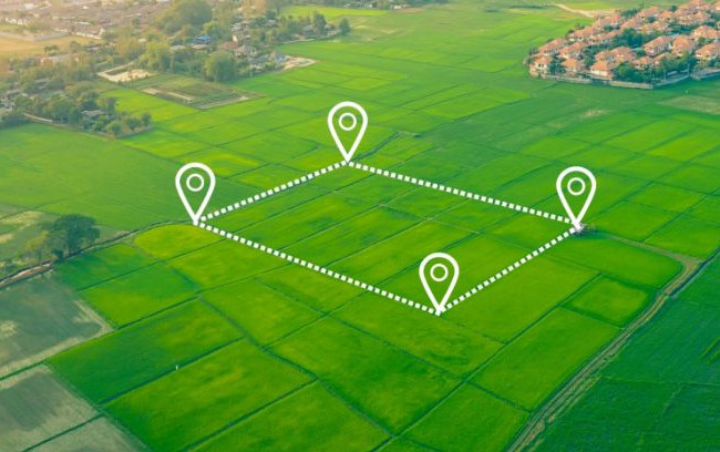 С 12 марта изменится порядок проверки соответствия приобретателя земельного участка сельскохозяйственного назначения