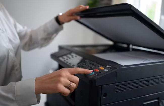 Распечатала водительское удостоверение на принтере и предъявила его патрульным: какое решение принял суд в отношении женщины