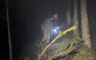 Прикордонники врятували двох «підкорювачів вершин» за 1,5 км від Румунії