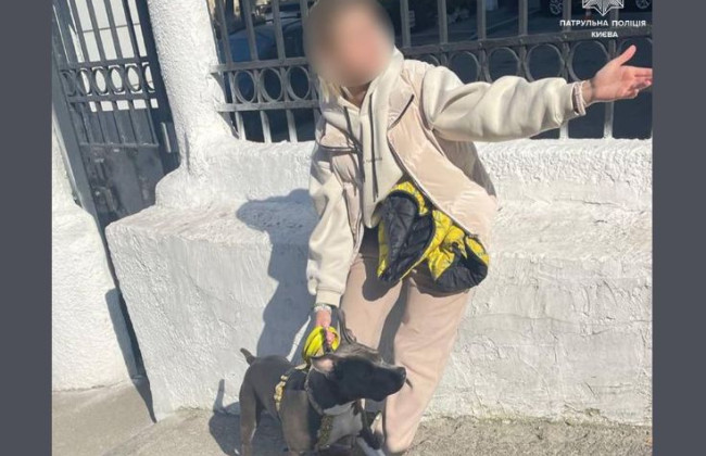 Выгуливали собак без намордников: в Киеве наказали владельцев животных