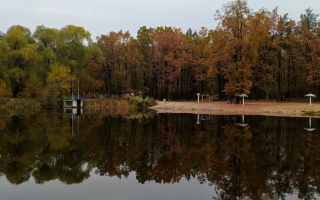 Верховный Суд окончательно вернул Киеву 3000 гектаров незаконно захваченного Беличанского леса