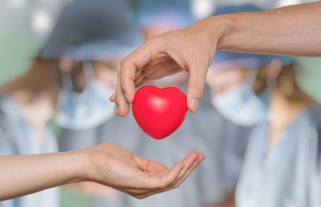 Кабмин утвердил Стратегию развития добровольного донорства: что она предусматривает