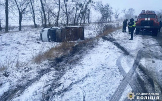 В Киевской области из-за косули произошло ДТП, фото