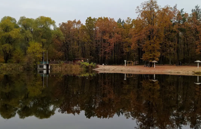 Верховный Суд окончательно вернул Киеву 3000 гектаров незаконно захваченного Беличанского леса