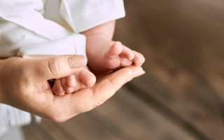 Раді рекомендують прийняти законопроект, згідно з яким українці зможуть розпорядитися репродуктивними клітинами на випадок своєї смерті