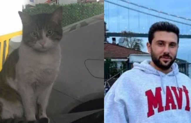 В Турции убийцу кота приговорили к 2,5 годам тюрьмы