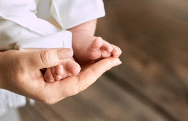 Раде рекомендуют принять законопроект, согласно которому украинцы смогут распорядиться репродуктивными клетками на случай своей смерти