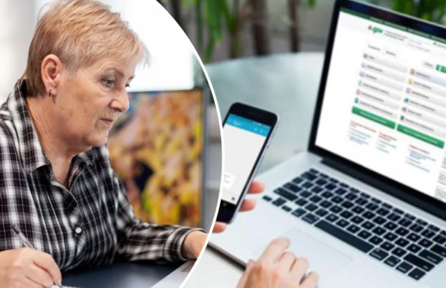 Как онлайн оформить справку о доходах пенсионера: алгоритм действий