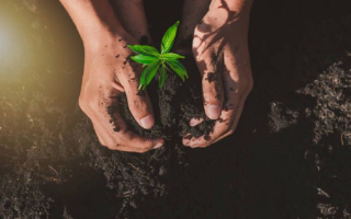 Що змінилося в умовах надання грантів для аграріїв: подробиці