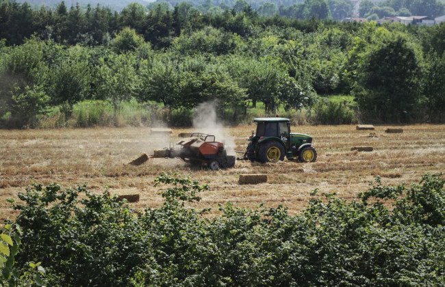 Послы ЕС не пришли к соглашению о продлении торговых льгот для Украины с ограничениями
