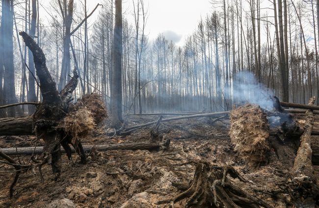 Парламент закликав міжнародні організації створити екологічну моніторингову місію в Україні