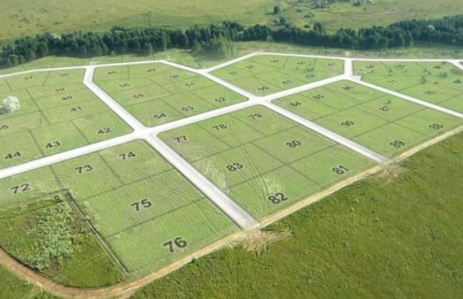 Перевірка набувача права власності на земельні ділянки с/г призначення вимогам законодавства: ключові моменти