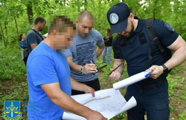 Ущерб 145 млн грн: в Одесской области будут судить чиновника, разрешившего незаконную порубку леса на территории Национального парка