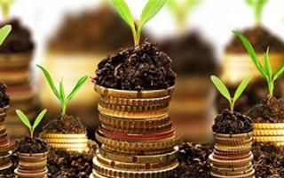 Какой штраф предусматривается за неотчетность по рентной плате, – ответ ГНС