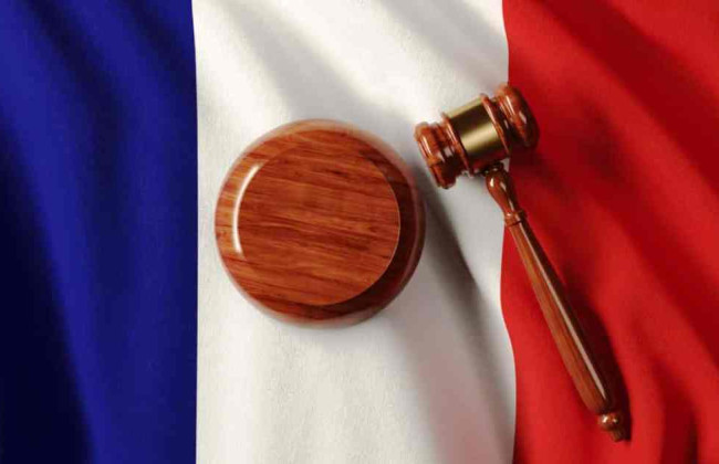 Во Франции 28 человек получили тюремные сроки за кибербуллинг на инфлюенсерке