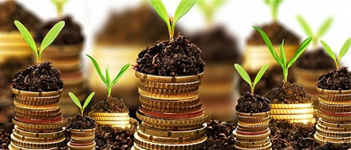 Какой штраф предусматривается за неотчетность по рентной плате, – ответ ГНС