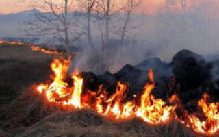 Украинцам напомнили о штрафах за сожжение мусора и сухой травы