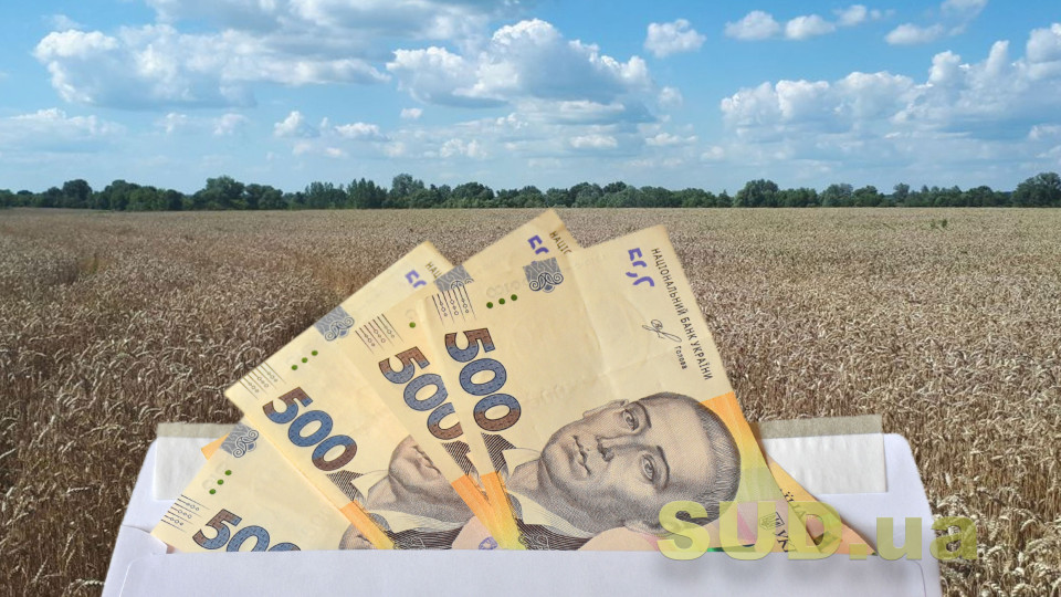 Нужно ли декларировать доход от продажи зерна, выращенного на собственном земельном участке