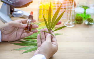 У Німеччині легалізують канабіс з 1 квітня: що передбачає закон