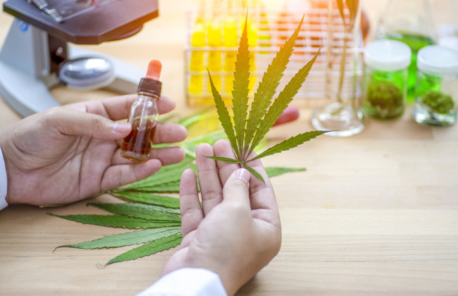 В Германии легализуют каннабис с 1 апреля: что предусматривает закон