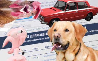Жигулі за 66 млн грн та «собака-тапки-погризяка» – які помилки та курйози зустрічаються у деклараціях посадовців