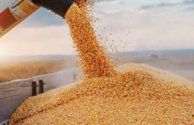 После ЕС обсудят ограничения на импорт украинского продовольствия — СМИ