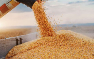 Посли ЄС обговорять обмеження на імпорт українського продовольства — ЗМІ