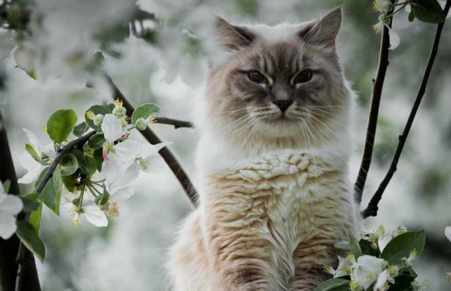 Синоптики прогнозируют теплый апрель, однако с морозными «сюрпризами»