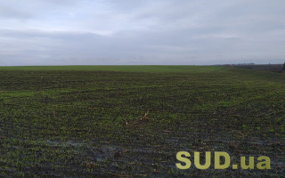 Землі сільськогосподарського призначення, прийняті у спадщину іноземцями, протягом року підлягають відчуженню, — суд