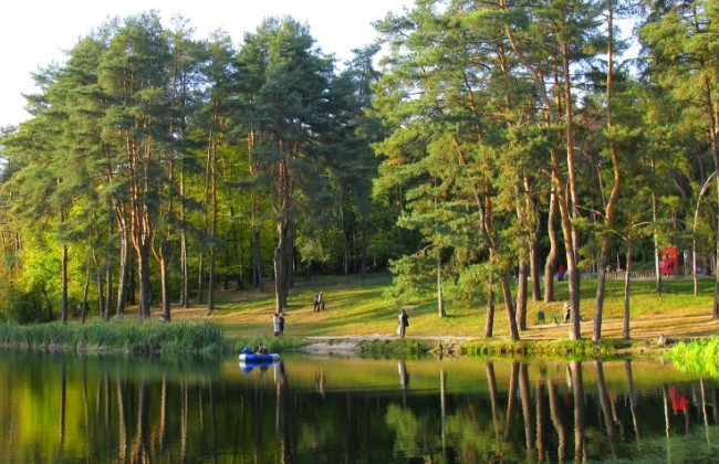 Организовал незаконные строительные работы на территории парка «Голосеевский»: в Киеве будут судить мужчину