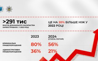 У 2023 році Нацполіція зареєструвала понад 291 тисячу фактів домашнього насильства – МВС