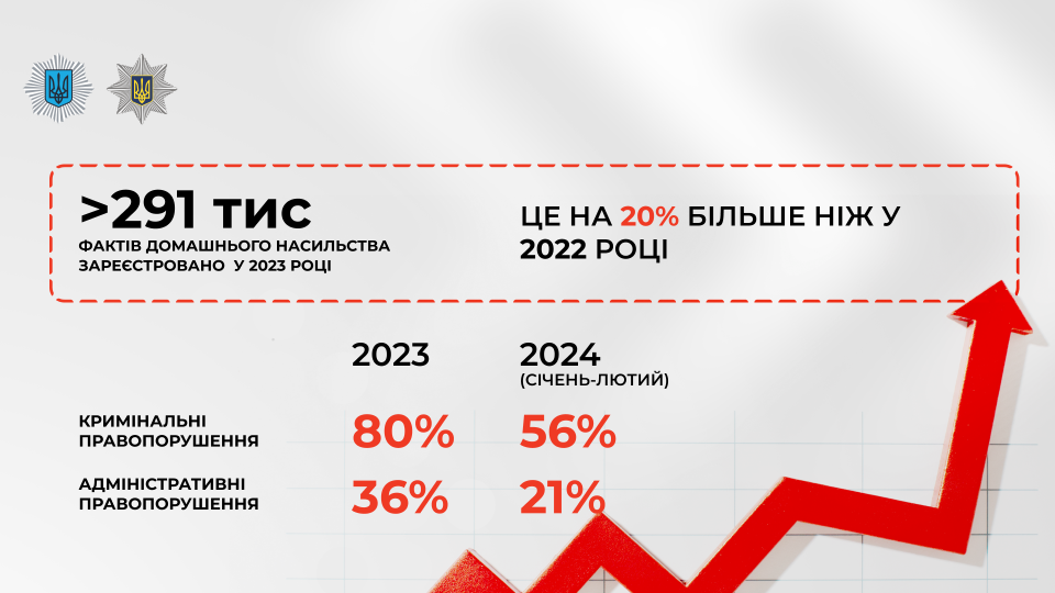 В 2023 году Нацполиция зарегистрировала более 291 тысяч фактов домашнего насилия – МВД