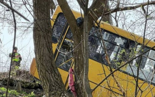 У Києві маршрутка з’їхала у кювет та застрягла на дереві: відео