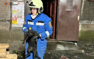 Вибух в квартирі в Білій Церкві: рятувальники повідомили нові деталі