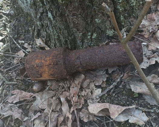 В Подольском районе столицы мужчина во время прогулки нашел гранату