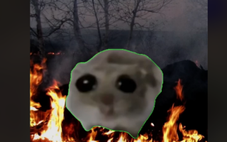 У хід пішли «бджолокоти» та «сумний хом’як» – як ДСНС і МВС вирішили боротися з паліями трави