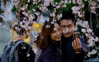 Ученые заявили, что к 2531 году у всех японцев будет одинаковая фамилия — Сато