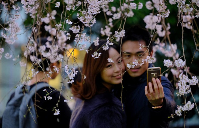 Ученые заявили, что к 2531 году у всех японцев будет одинаковая фамилия — Сато