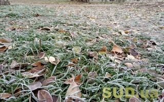 В Украину возвращаются заморозки: когда ждать похолодания