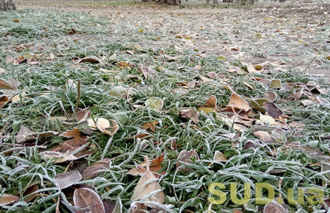 В Украину возвращаются заморозки: когда ждать похолодания