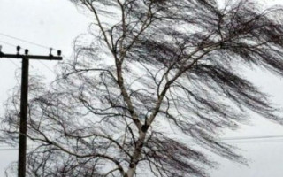 У Києві зафіксували рекорд максимальної швидкості вітру