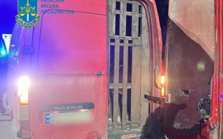 В Киеве задержали мужчину, который без документов вез 9 пятнистых оленей: одно животное умерло