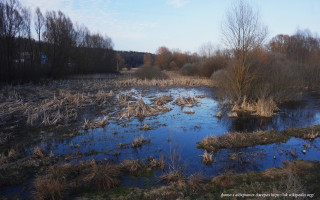 У Хмельницькій області заказник вартістю 390 мільйонів хотіли зробити сільськогосподарською землею