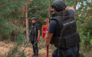 МВД планирует увеличить количество специалистов по разминированию